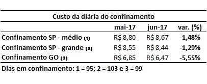 bovinos confinados