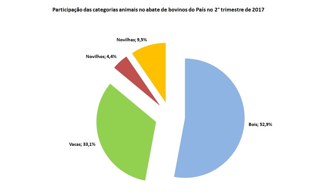 abate de bovinos por categoria