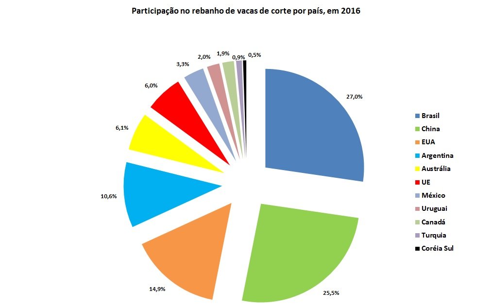 rebanhos de vacas