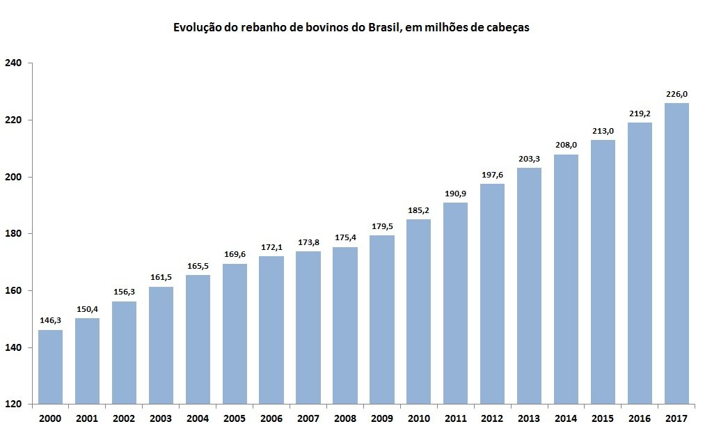 rebanho de bovinos