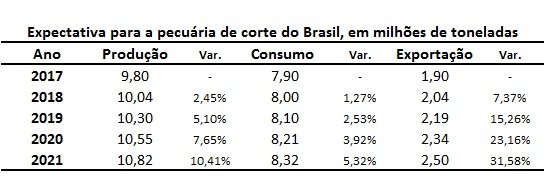 produção de carne bovina no Brasil