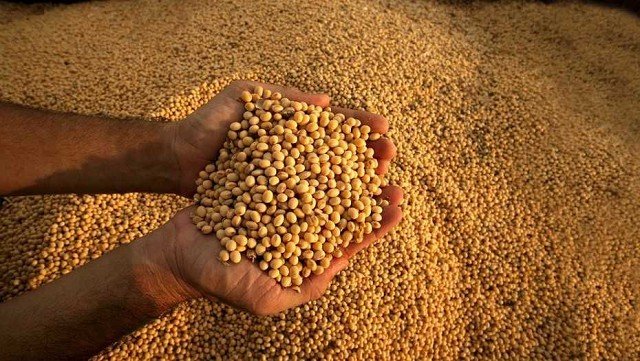confiança do agronegócio