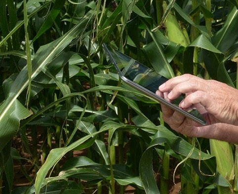 tecnologia na agricultura