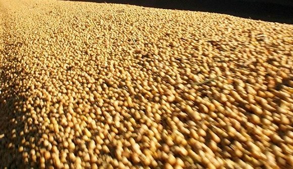 exportações do agronegócio