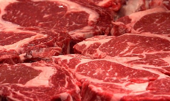 produção de carne bovina