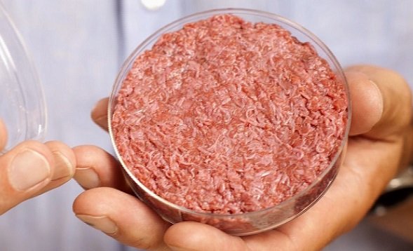 carnes baseadas em plantas