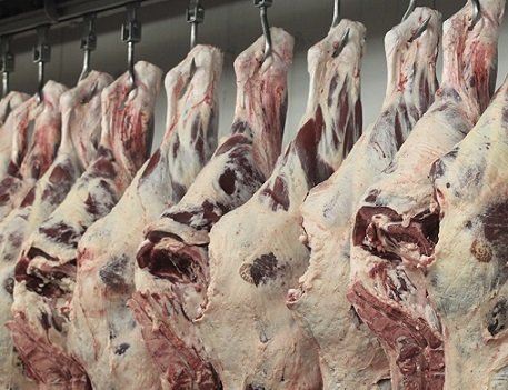produção de carnes