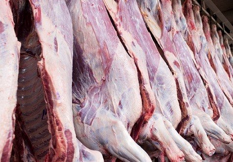 exportação de carne