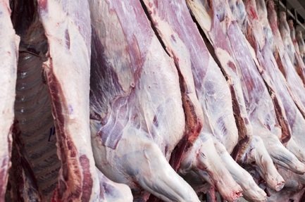 exportação de carne