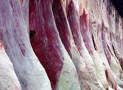 evolução da produção mundial de carnes
