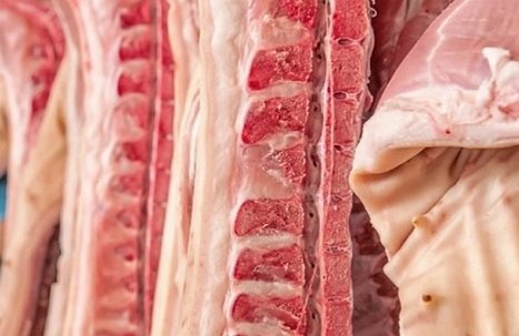exportação de carnes