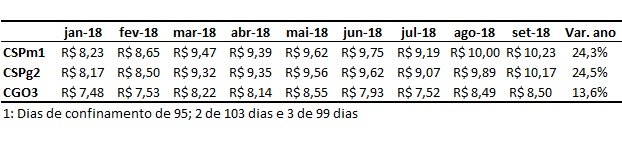 custo de produção de bovinos