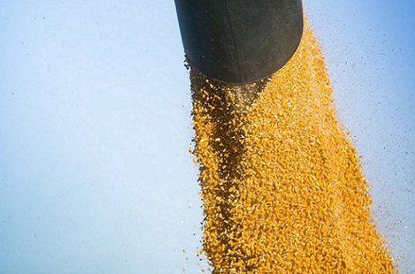 exportações de milho dos EUA