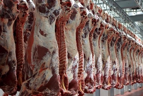 carne bovina