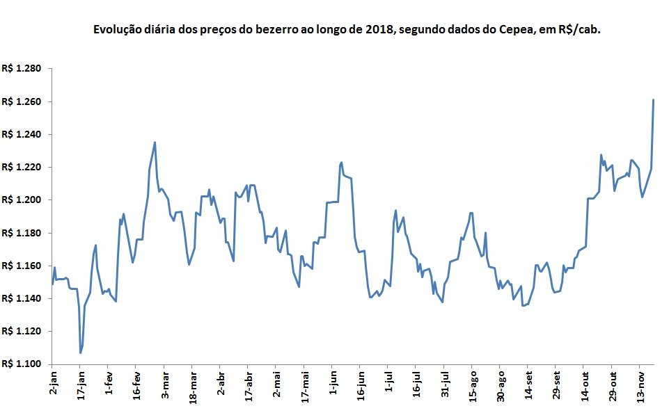 preço do bezerro