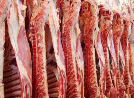 exportação de carne bovina