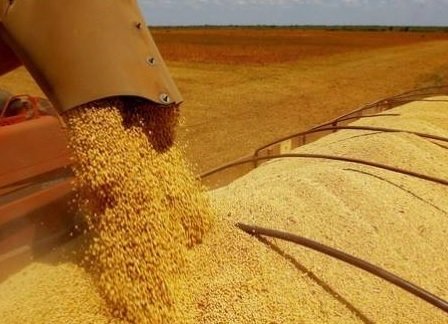 pib do agronegócio