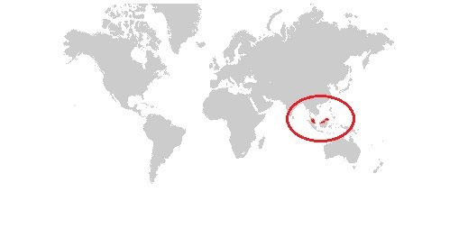bovinos vivos do Brasil