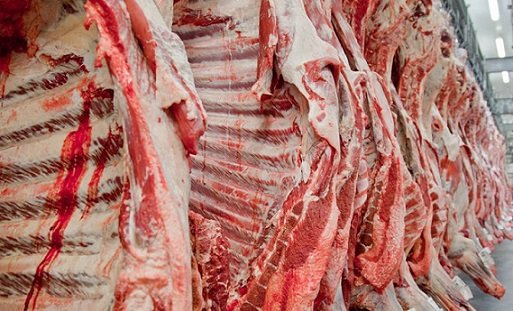 produção de carne bovina