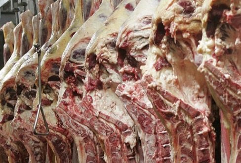 exportação de carne bovina