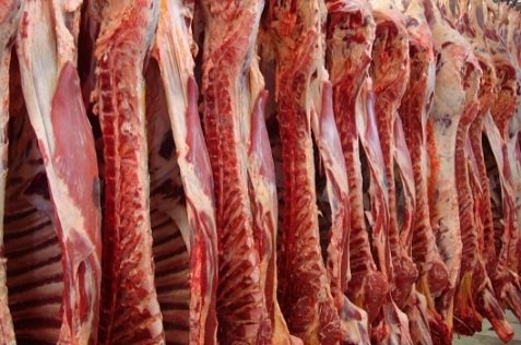 exportação de carne bovina