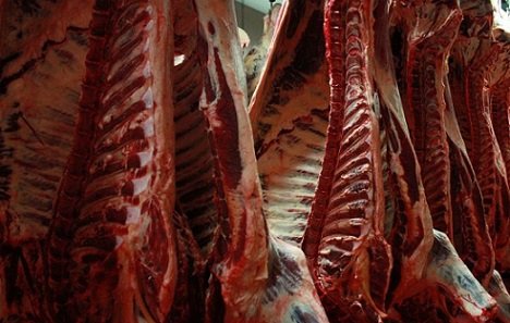 carne bovina para a china