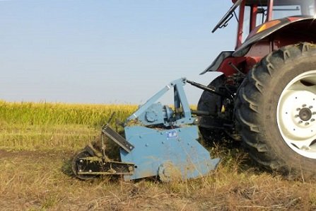 produtividade do trabalho no agro