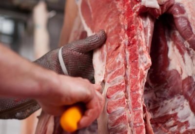 exportação de carne bovina
