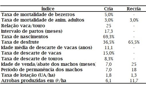 retorno econômico da pecuária