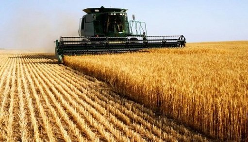 balança comercial do agronegócio