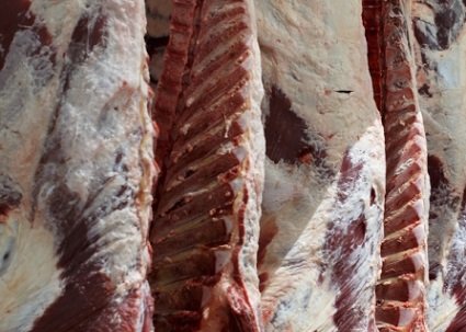 compra de carne bovina