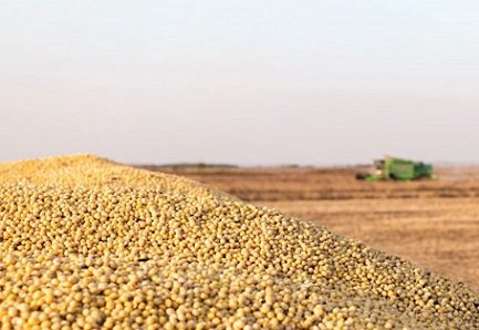 preços das commodities agrícolas