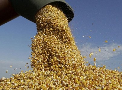 proteção de preços no agronegócio