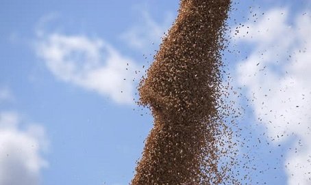commodities agrícolas