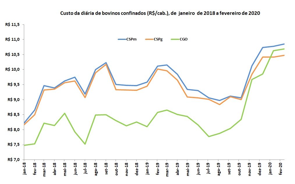 custo da engorda em confinamento
