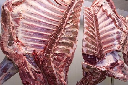 preço da carne bovina exportada