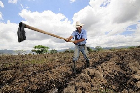 abastecimento de alimentos