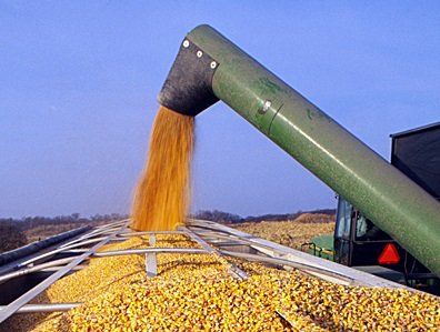 maiores países produtores de milho