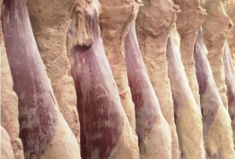 indústria da carne bovina