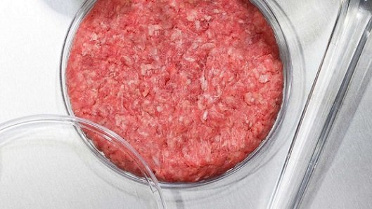 desafios das carnes de laboratório