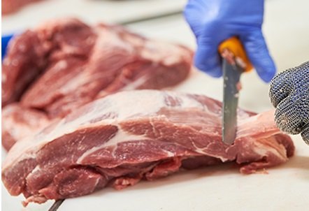 exportação de carne bovina
