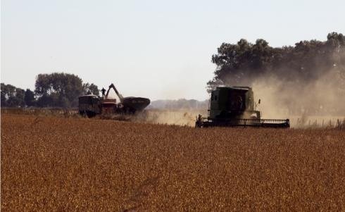 preços das commodities agrícolas