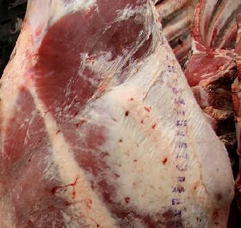 preço em dólar da carne bovina