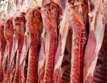 carne bovina do Brasil
