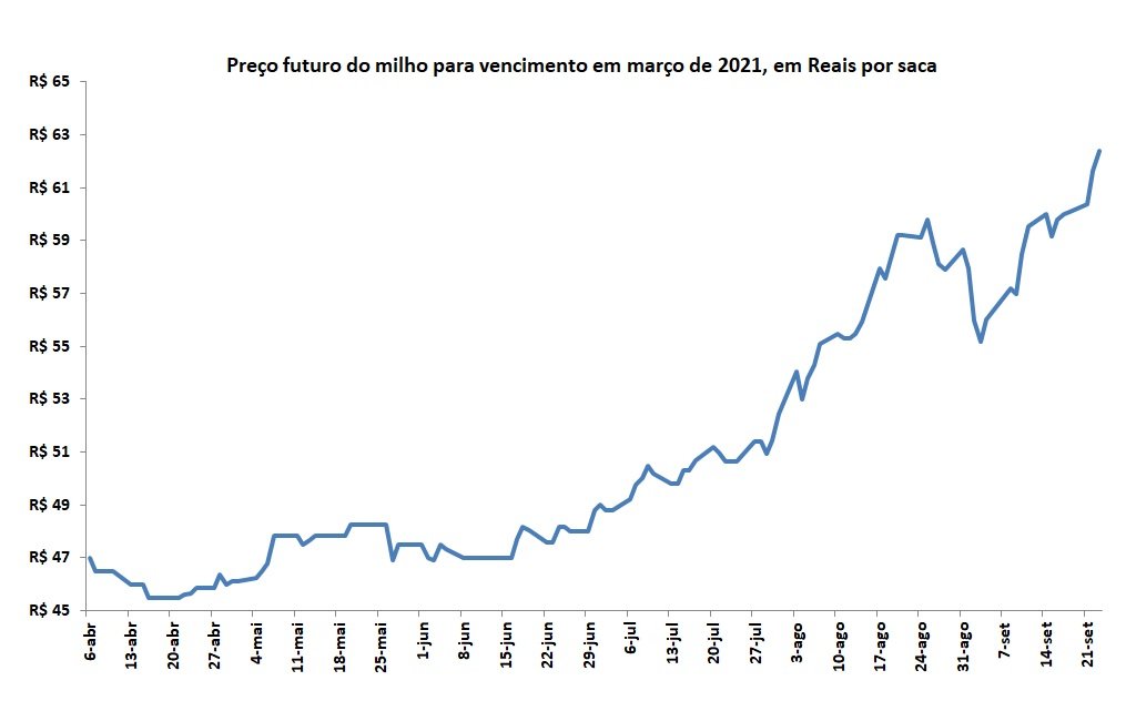preço futuro do milho