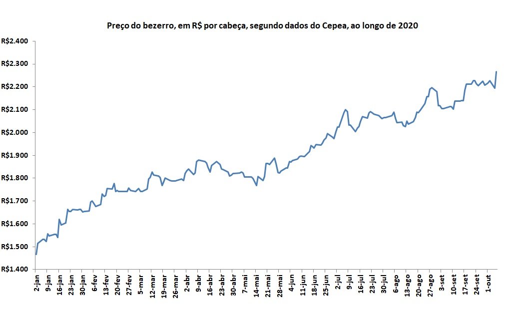 preço do bezerro