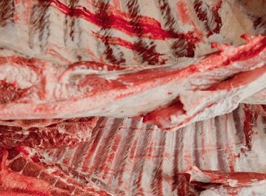 exportação de carne bovina