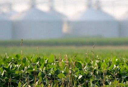 saldo comercial do agronegócio