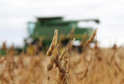 importação de soja pelo Brasil