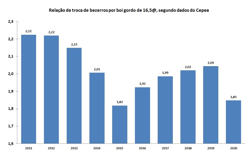 relação de troca de bezerros por boi gordo